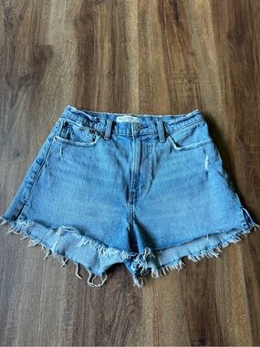 Abercrombie & Fitch Curve Love The Mom Short High Rise Size 29/8